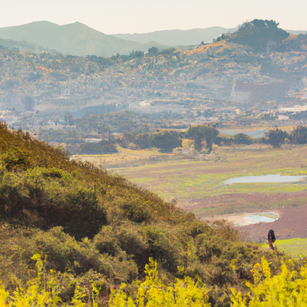 outdoor recreational opportunities in Oakland city USA, including parks, hiking trails, and lesser-known natural wonders